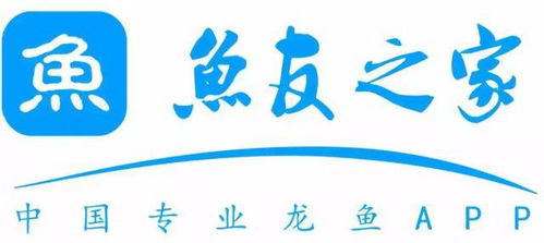 長(zhǎng)城專訪｜魚友之家 多形態(tài)展示背后的唯一服務(wù)宗旨——數(shù)字文化創(chuàng)意內(nèi)容應(yīng)用服務(wù)的創(chuàng)新實(shí)踐